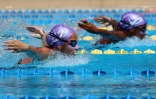 natation 