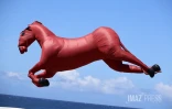 Marmay's en l'air : les cerfs-volants font le show à Saint-Pierre