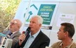 Errance animale Casud