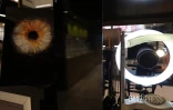 photographie de l'IRIS 