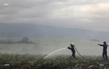 Feu de cannes à Sainte-Suzanne 31 août 2016