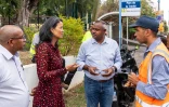 Saint-Denis : transplantation des badamiers de l'Inde vers le coeur vert familial