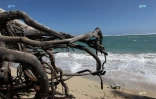 Houle dans l\\\'ouest