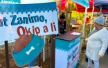 TO : "Out zanimo, okip a li", une initiative pour lutter contre l'abandon animale 