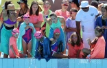 interclubs natation à plateau caillou 