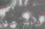 Irma
