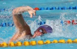 natation 