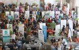 village de l'emploi et de l'insertion au Port
