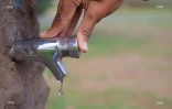 eau 