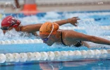 Natation