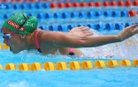 Meeting natation 2015