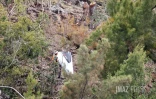 crash helico Sans Souci