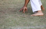 championnat de la réunion moringue 2016