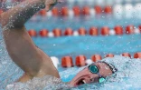 Natation 