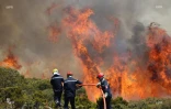 Incendie du Maïdo 8 novembre 2020