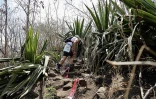 Grand raid 2018