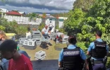 Maltraitance animale : des tortues, chiens, cochons d'Inde et volailles saisis à Saint-Benoît