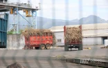 Grève à l'usine Bois-Rouge : les planteurs en colère veulent mettre la pression sur Tereos [?]