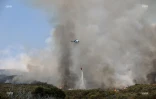 Incendie au Maïdo : la fumée visible de loin 