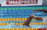 natation 