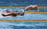 Championnats Natation Plateau Caillou