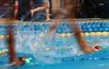 natation 