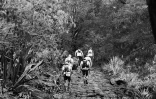 grand raid 2015