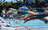 natation 