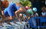 natation 