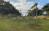 parc boisé au port 