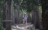 Grand raid
