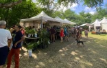 Bilan satisfaisant pour l'organisation du Salon du Jardin et du Paysage éditin 2023
