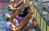 Championnats Natation Plateau Caillou