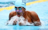 meeting natation 2017