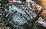 Givre au Piton de la Fournaise plaine des sables 20 mai 2020
