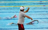 meeting natation 2017