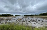 météo pluie, Sainte-Suzanne, cascade Niagara
