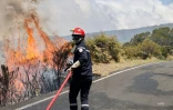 Incendie du Maïdo 9 novembre 2020