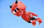 Marmay's en l'air : les cerfs-volants font le show à Saint-Pierre
