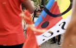 rassemblement soutien antilles