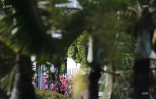 manifestation contre la loi travail 28 juin 2016