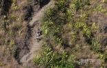 Grand Raid 2023 