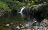 Cascade Délice