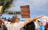 Manifestation contre la crise requins à Saint-Leu