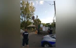 Casabona : des militants perchés dans les arbres, la police tente de les déloger 