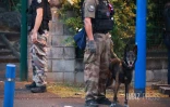 controle anti-bandes à bras-fusil 