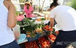 marché vrac plateau caillou 