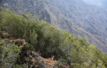 Grand Raid 2019