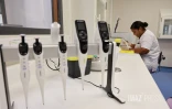  chikungunya analyse sang 