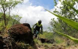 Mégavalanche 2017 